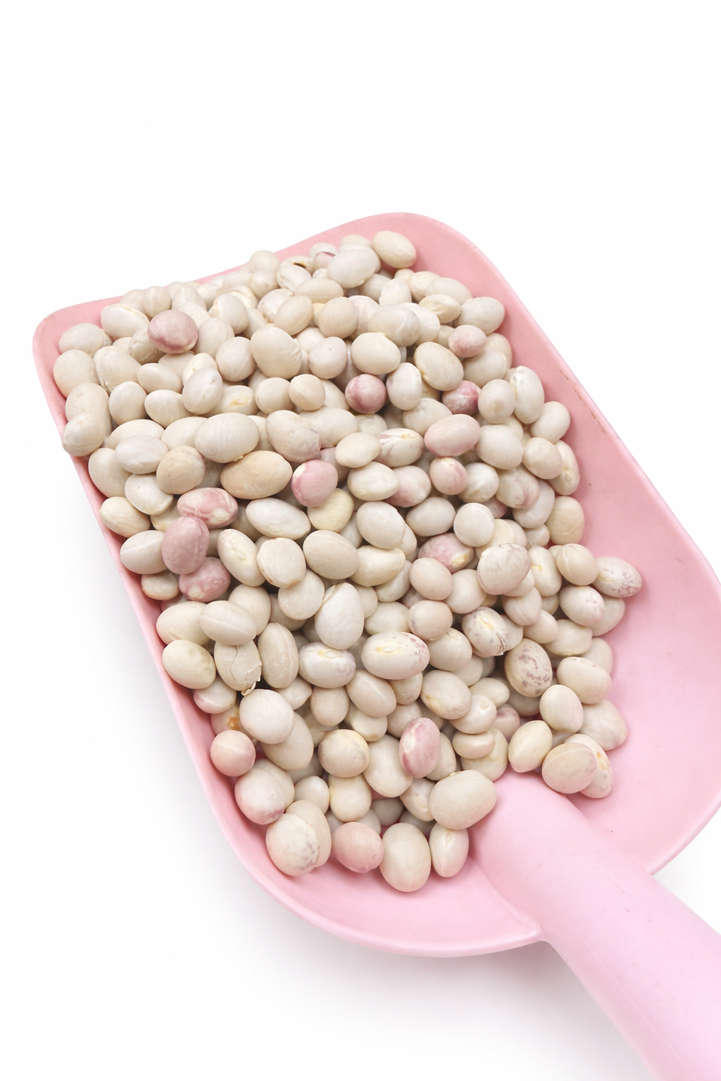 İSPİR FASÜLYESİ KG