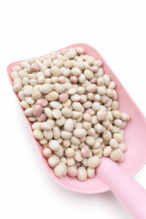 İSPİR FASÜLYESİ KG