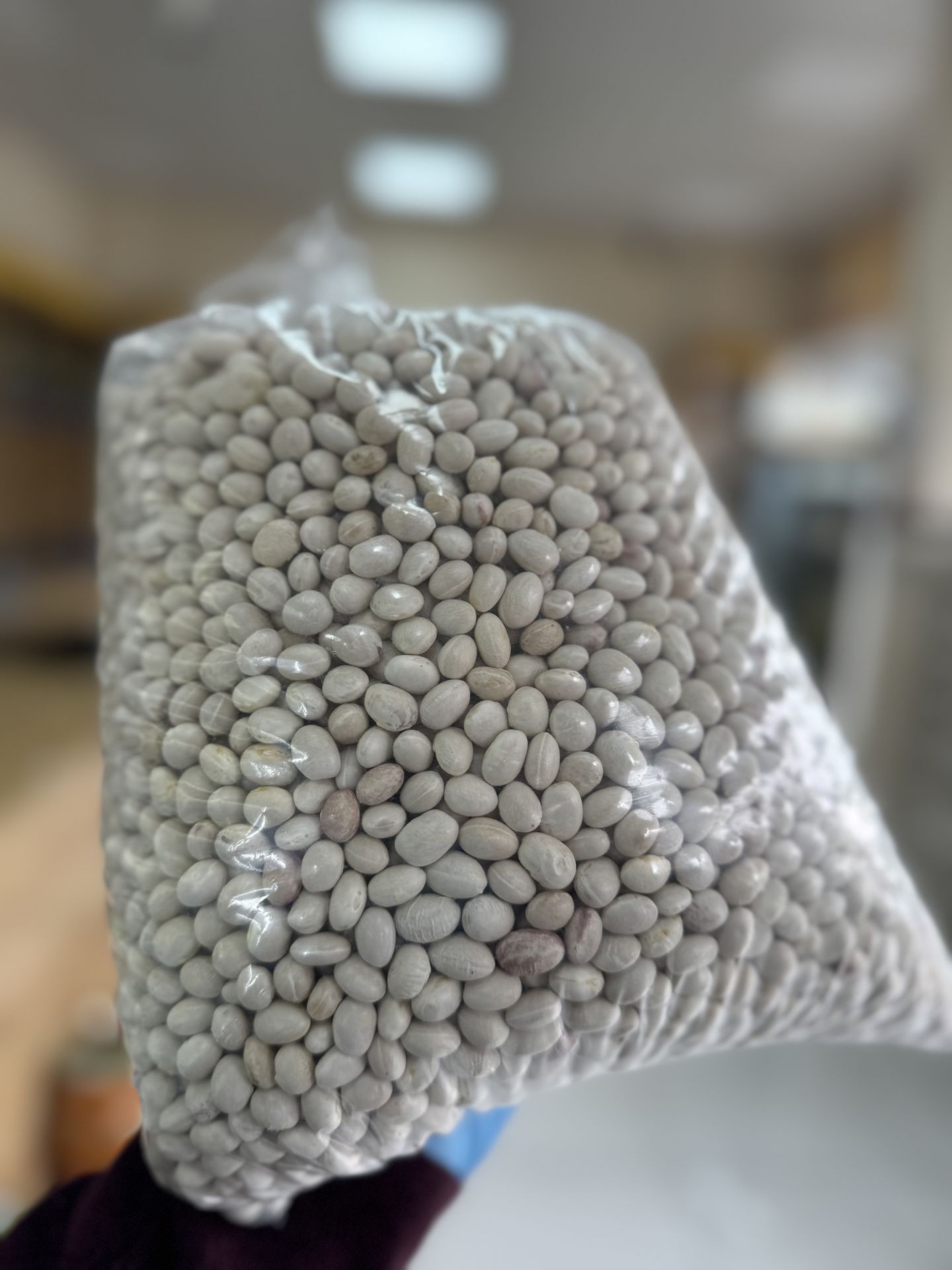 İSPİR FASÜLYESİ 1 KG