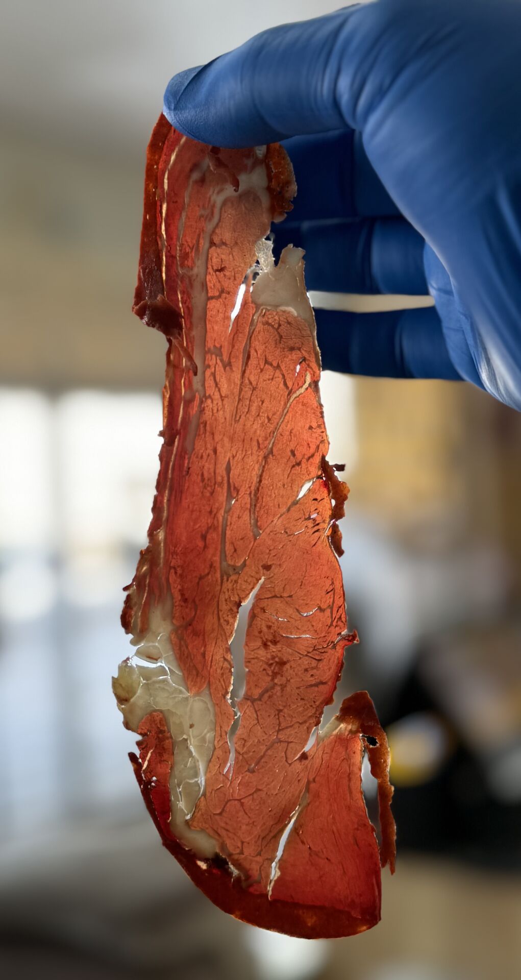 PASTIRMA ANTRİKOT 500 GR NET