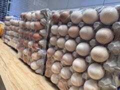 YUMURTA 15 li (Tavuk)