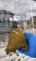 YAPRAK ÜZÜM HAŞLANMIŞ TOKAT